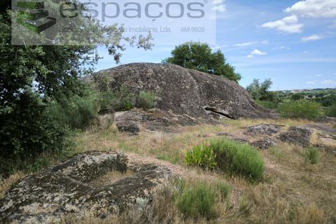 Helårsgrund i Castelo Branco, Castelo Branco, Castelo Branco - € 150.000 | Ref: 5556/EG - foto 15