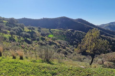 Landejendom i Sedella, Malaga, Sedella - € 695.000 | Ref: 8014 - foto 6