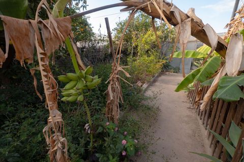 Rækkehus i Berja, Almeria, Berja - € 169.000 | Ref: Llano de Vilches - foto 32