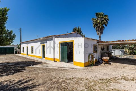 Farm i Beja, Beja, Beja - € 345.000 | Ref: City-26-12V - foto 2