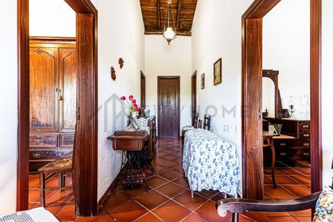 Farm i Beja, Beja, Beja - € 345.000 | Ref: City-26-12V - foto 3