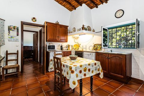 Farm i Beja, Beja, Beja - € 345.000 | Ref: City-26-12V - foto 10