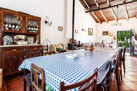 Farm i Beja, Beja, Beja - € 345.000 | Ref: City-26-12V - foto 14