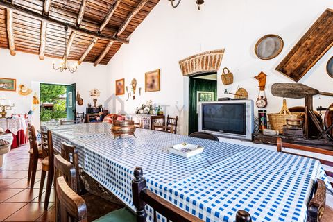 Farm i Beja, Beja, Beja - € 345.000 | Ref: City-26-12V - foto 16