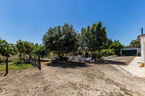 Farm i Beja, Beja, Beja - € 345.000 | Ref: City-26-12V - foto 18