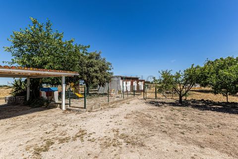Farm i Beja, Beja, Beja - € 345.000 | Ref: City-26-12V - foto 19