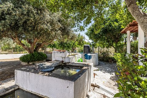 Farm i Beja, Beja, Beja - € 345.000 | Ref: City-26-12V - foto 20