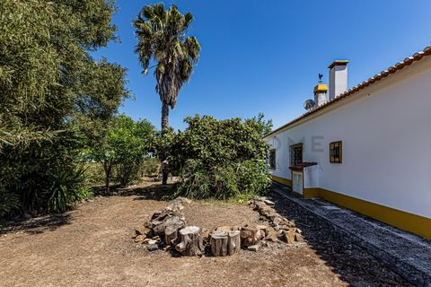 Farm i Beja, Beja, Beja - € 345.000 | Ref: City-26-12V - foto 23