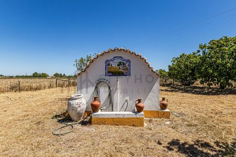 Farm i Beja, Beja, Beja - € 345.000 | Ref: City-26-12V - foto 24