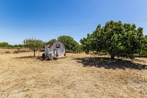Farm i Beja, Beja, Beja - € 345.000 | Ref: City-26-12V - foto 25