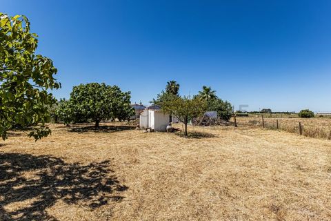 Farm i Beja, Beja, Beja - € 345.000 | Ref: City-26-12V - foto 26