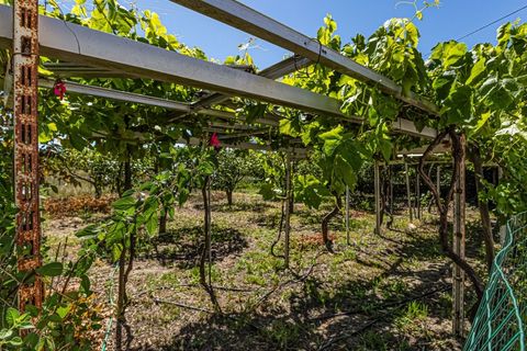 Farm i Beja, Beja, Beja - € 345.000 | Ref: City-26-12V - foto 27