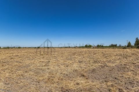 Farm i Beja, Beja, Beja - € 345.000 | Ref: City-26-12V - foto 28
