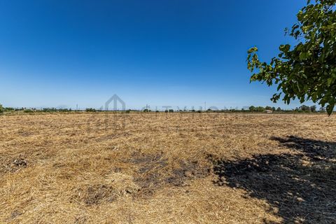 Farm i Beja, Beja, Beja - € 345.000 | Ref: City-26-12V - foto 29