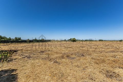 Farm i Beja, Beja, Beja - € 345.000 | Ref: City-26-12V - foto 30