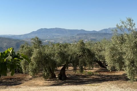 Landejendom i Iznajar, Cordoba, Iznajar - € 88.950 | Ref: ID4426 - foto 2