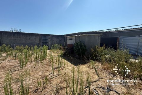 Landejendom i Palmela, Setubal, Palmela - € 320.000 | Ref: TER_2864/14154 - foto 12