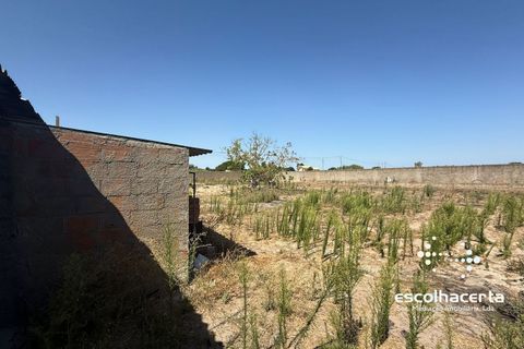 Landejendom i Palmela, Setubal, Palmela - € 320.000 | Ref: TER_2864/14154 - foto 23