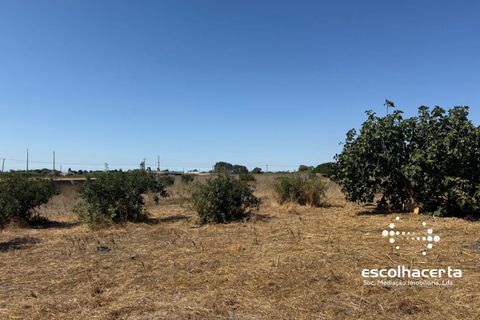 Landejendom i Palmela, Setubal, Palmela - € 320.000 | Ref: TER_2864/14154 - foto 30