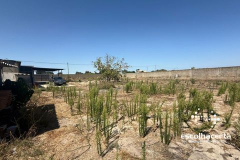 Landejendom i Palmela, Setubal, Palmela - € 320.000 | Ref: TER_2864/14154 - foto 31