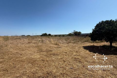 Landejendom i Palmela, Setubal, Palmela - € 320.000 | Ref: TER_2864/14154 - foto 34