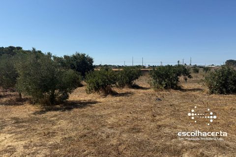 Landejendom i Palmela, Setubal, Palmela - € 320.000 | Ref: TER_2864/14154 - foto 35