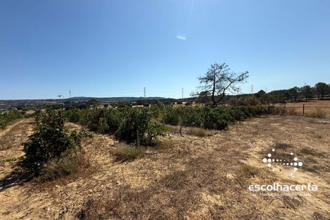 Landejendom i Palmela, Setubal, Palmela - € 320.000 | Ref: TER_2864/14154 - foto 37
