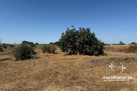 Landejendom i Palmela, Setubal, Palmela - € 320.000 | Ref: TER_2864/14154 - foto 39
