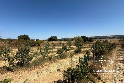 Landejendom i Palmela, Setubal, Palmela - € 320.000 | Ref: TER_2864/14154 - foto 41