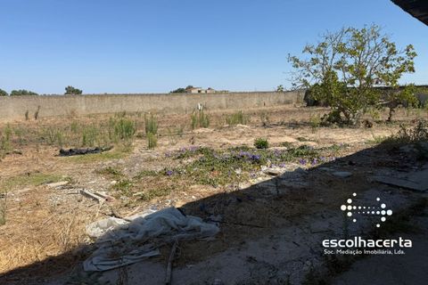 Landejendom i Palmela, Setubal, Palmela - € 320.000 | Ref: TER_2864/14154 - foto 43
