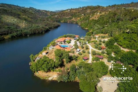 Landejendom i Tabua, Coimbra, Tabua - € 3.420.000 | Ref: HER_2894/14154 - foto 15