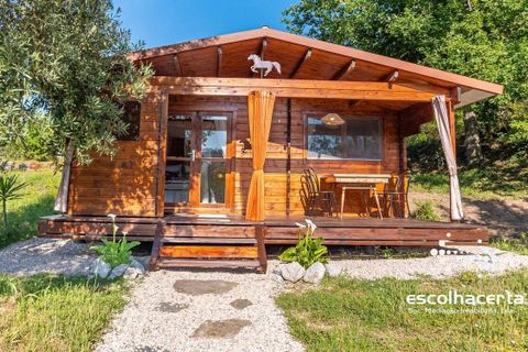 Landejendom i Tabua, Coimbra, Tabua - € 3.420.000 | Ref: HER_2894/14154 - foto 22