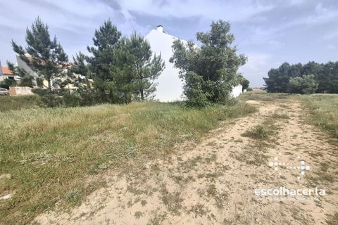 Helårsgrund i Palmela, Setubal, Palmela - € 138.000 | Ref: LOT_2904/14154 - foto 13