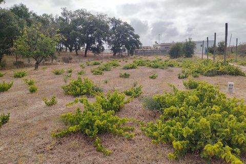 Helårsgrund i Setubal, Setubal, Setubal - € 99.000 | Ref: C0464-00124 - foto 5