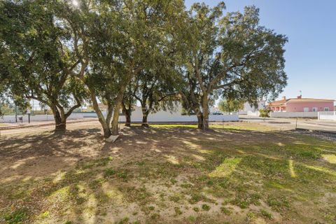 Villa i Fronteira, Portalegre, Fronteira - € 310.000 | Ref: C0464-00280 - foto 38