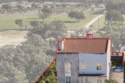 Villa i Fronteira, Portalegre, Fronteira - € 310.000 | Ref: C0464-00280 - foto 39