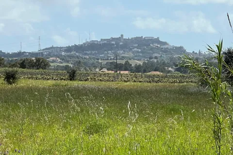 Helårsgrund i Palmela, Setubal, Palmela - € 675.000 | Ref: C0464-00300 - foto 1