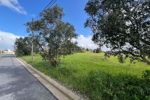Helårsgrund i Palmela, Setubal, Palmela - € 675.000 | Ref: C0464-00300 - foto 4