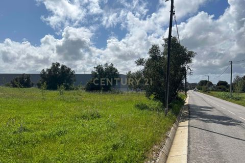 Helårsgrund i Palmela, Setubal, Palmela - € 675.000 | Ref: C0464-00300 - foto 8