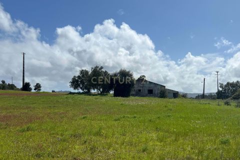 Helårsgrund i Palmela, Setubal, Palmela - € 675.000 | Ref: C0464-00300 - foto 11