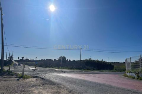 Helårsgrund i Palmela, Setubal, Palmela - € 450.000 | Ref: C0464-00347 - foto 2