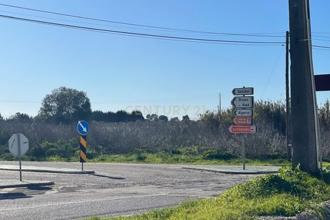 Helårsgrund i Palmela, Setubal, Palmela - € 450.000 | Ref: C0464-00347 - foto 4