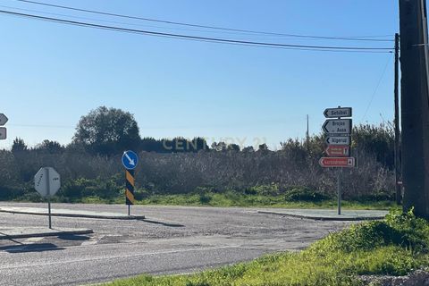 Helårsgrund i Palmela, Setubal, Palmela - € 450.000 | Ref: C0464-00347 - foto 5