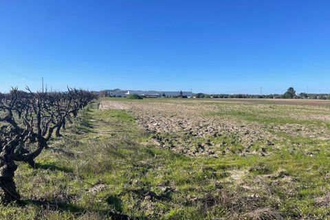 Helårsgrund i Palmela, Setubal, Palmela - € 450.000 | Ref: C0464-00347 - foto 7