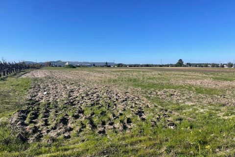 Helårsgrund i Palmela, Setubal, Palmela - € 450.000 | Ref: C0464-00347 - foto 8