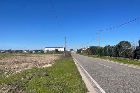 Helårsgrund i Palmela, Setubal, Palmela - € 450.000 | Ref: C0464-00347 - foto 9