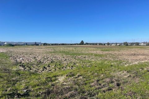 Helårsgrund i Palmela, Setubal, Palmela - € 450.000 | Ref: C0464-00347 - foto 10