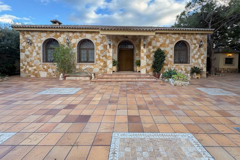 Finca i Elche, Alicante, Elche - € 950.000 | Ref: 32684 - foto 50