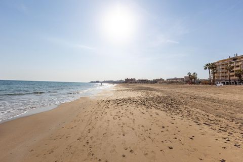 Leilighet i Torrevieja, Alicante, Torrevieja - € 117 260 | Ref: 31135 - foto 25