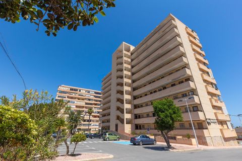 Leilighet i Torrevieja, Alicante, Torrevieja - € 233 300 | Ref: 31113 - foto 19
